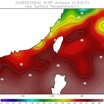 20080520_0800.ncep.analysis_sst